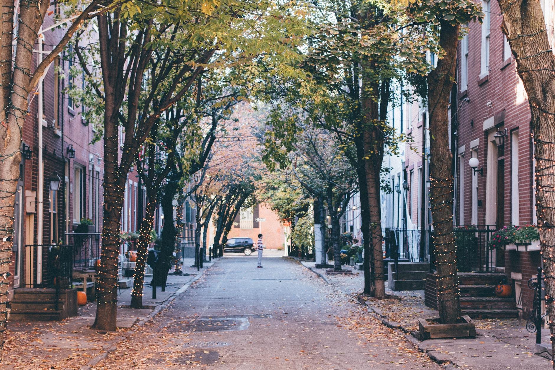 A leafy residential street in the Philadelphia