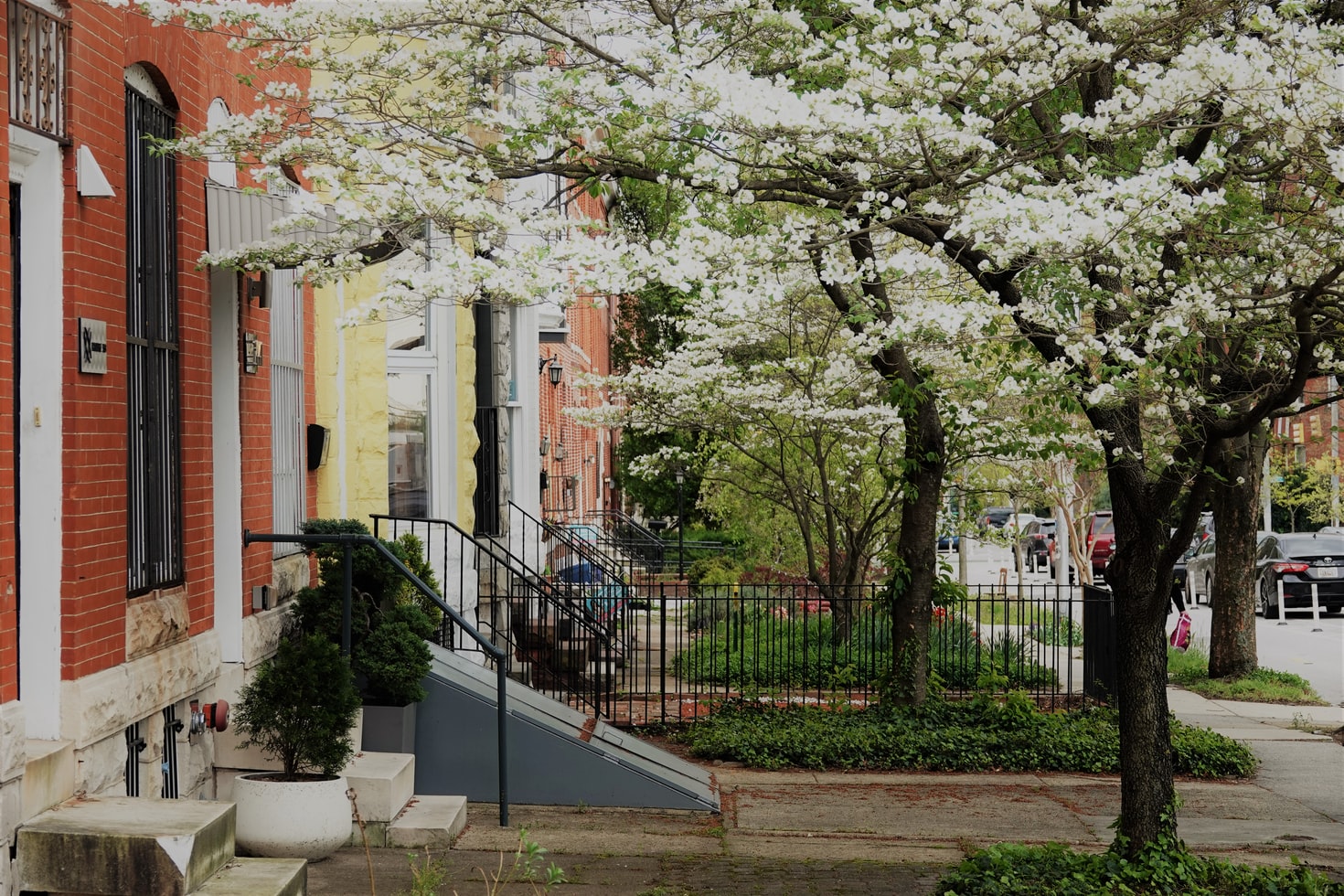 The 5 Best Baltimore Neighborhoods Bellhop Blog
