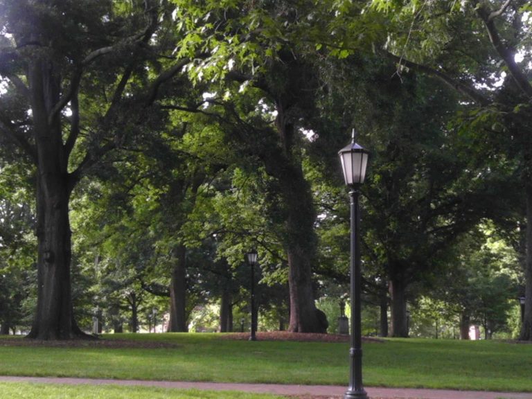 Best Neighborhoods for Families in Durham, North Carolina Bellhop